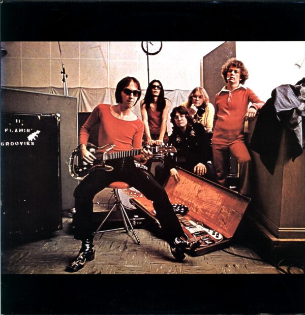 The Flamin' Groovies-Teenage Head-LP Vinyl