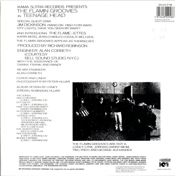 The Flamin' Groovies-Teenage Head-LP Vinyl