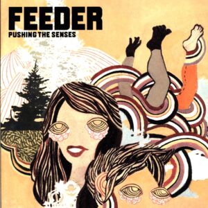 Feeder-Pushing The Senses-LP Vinyl