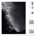 Harms Way-Common Suffering-clear splatter LP Vinyl