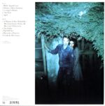 PJ Harvey & John Parish-A Woman A Man Walked By-LP Vinyl