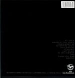 Palehorse-Amongst The Flock-grey LP Vinyl