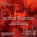 Palm Desert-Rotten Village Sessions-LP Vinyl
