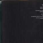 Spanish Love Songs-No Joy-LP Vinyl