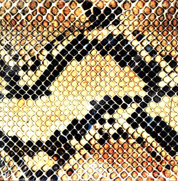 The Amazing Snakeheads-Amphetamine Ballads-LP Vinyl
