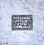 Birds In Row-Gris Klein-clear splatter LP Vinyl