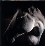 Brother Dege-How To Kill A Horse-LP Vinyl