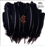 David Eugene Edwards-Hyacinth-LP Vinyl