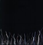 Pelican-City Of Echoes-clear-black LP Vinyl