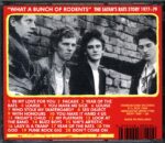Satan's Rats-What A Bunch Of Rodents-CD