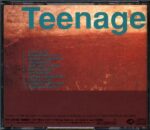 Teenage Fanclub-A Catholic Education-CD