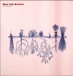 Ghost Funk Orchestra-A New Kind Of Love-LP Vinyl