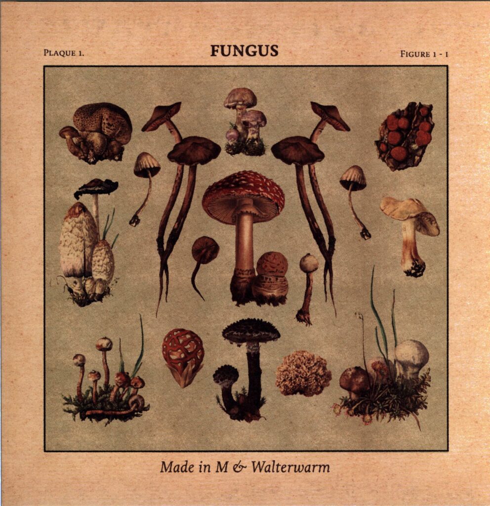 Made In M-Fungus-LP Vinyl