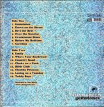 Adam Green-Gemstones-LP Vinyl