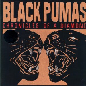 Black Pumas-Chronicles Of A Diamond-clear LP Vinyl