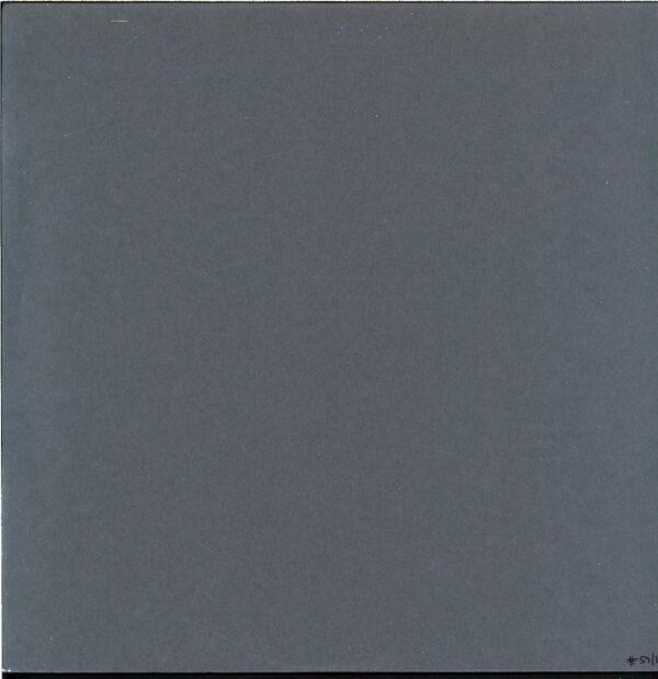 Bulbul-6-LP Vinyl