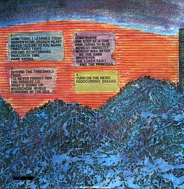 Hüsker Dü-Zen Arcade RE-LP Vinyl