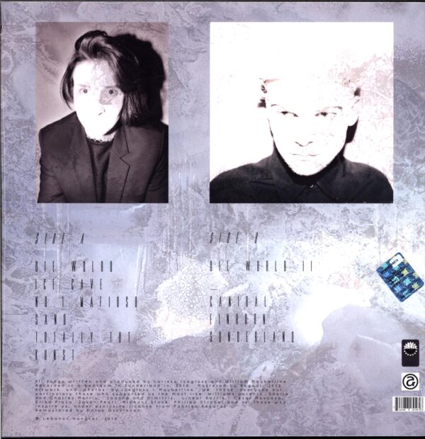 Lebanon Hanover-The World Is Getting Colder-LP Vinyl