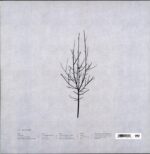 Low-Ones And Sixes-LP Vinyl