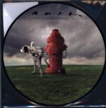 Rush-Signals -LP Vinyl