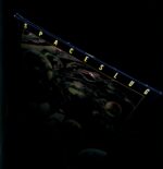 Spaceslug-Time Travel Dilemma yellow signed-LP Vinyl