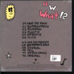 Nepumuk-What The Funk-10 Vinyl