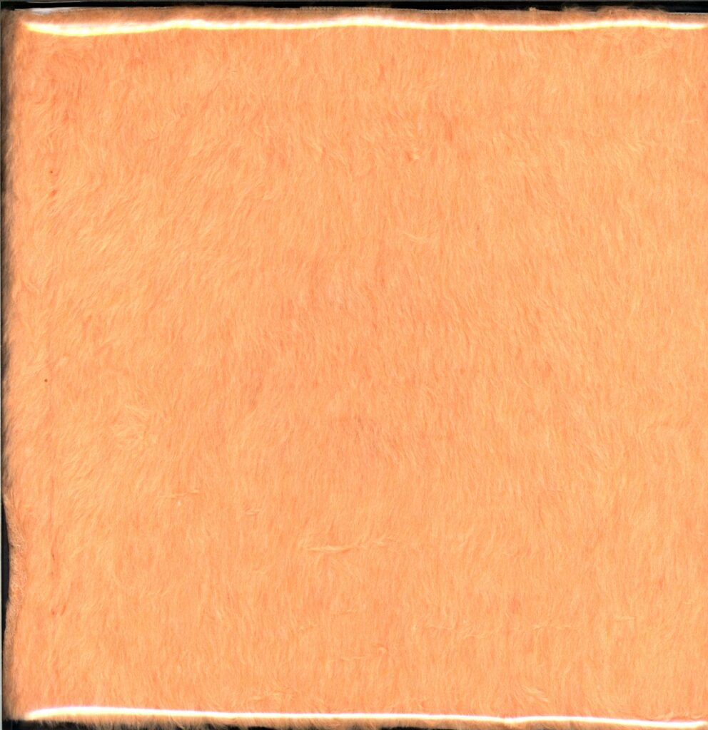 Barchen Und Die Milchbubis-Alt Kaputt Spart Jugendknast-12 Vinyl