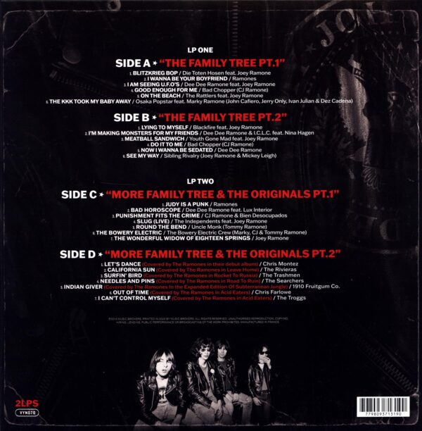 Ramones-The Many Faces Of Ramones - A Journey Through The Inner World Of Ramones-LP Vinyl