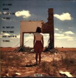 The Pineapple Thief-It Leads To This-LP Vinyl