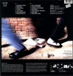 The Skoidats-The Times-LP Vinyl