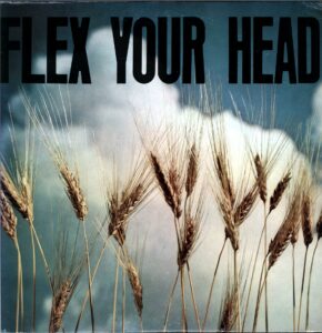 Various-Flex Your Head-LP Vinyl US 1982 Wheat field