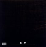 Lost Echoes-Stars-LP Vinyl