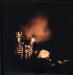 Pearl Jam-Riot Act-reissue LP Vinyl