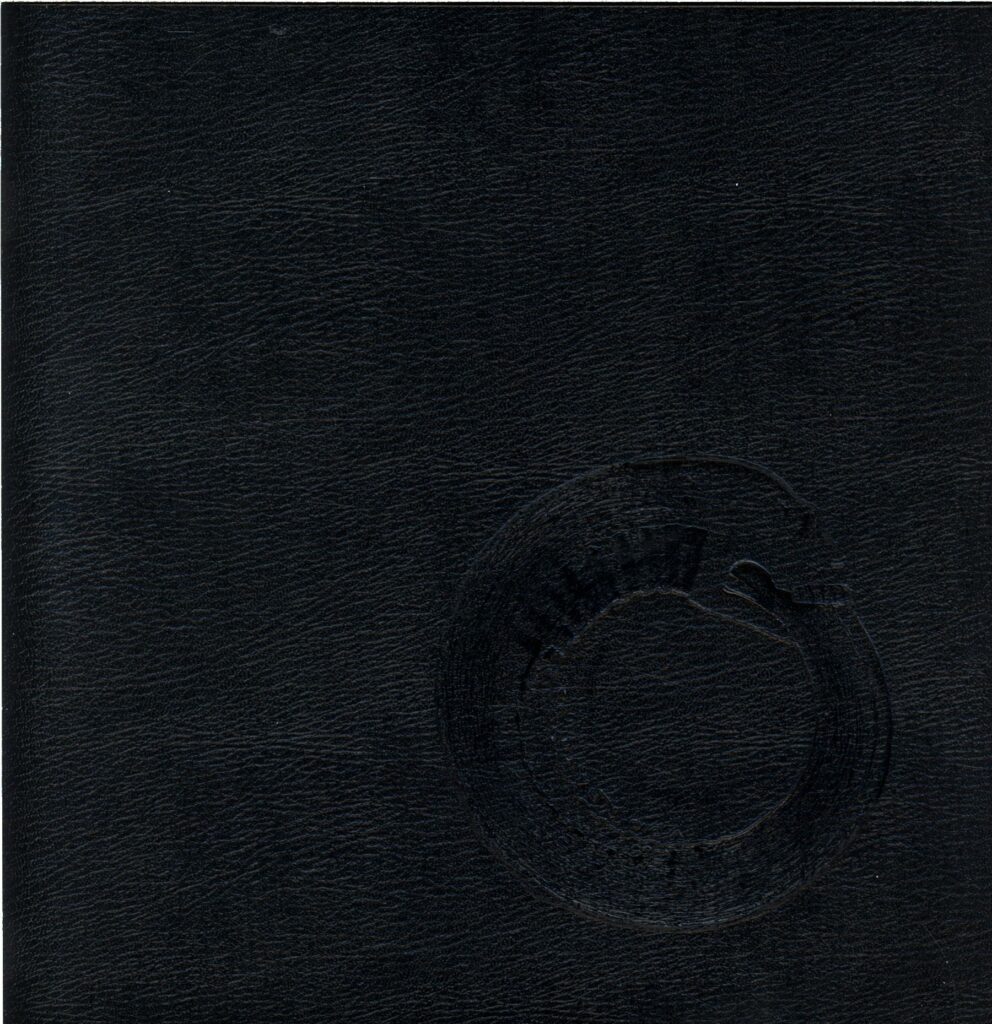 Turbonegro-Scandinavian Leather-box LP Vinyl