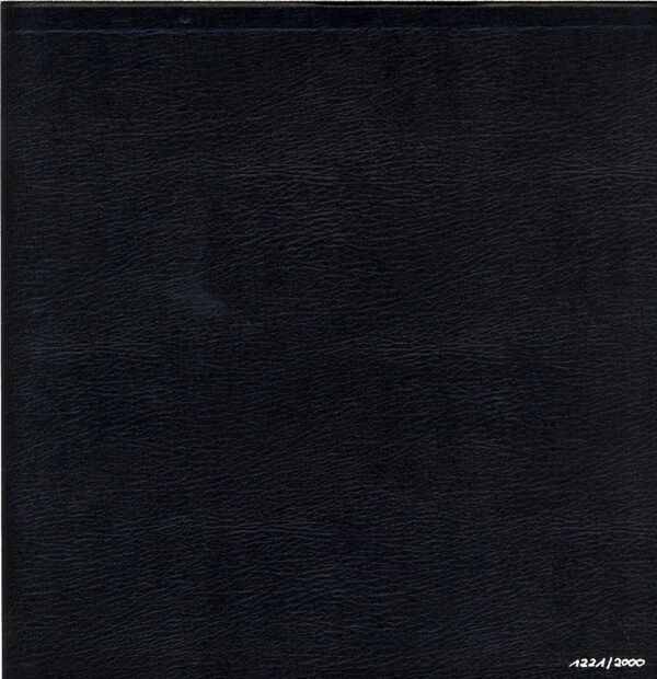 Turbonegro-Scandinavian Leather-box LP Vinyl