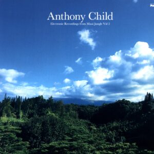 Anthony Child – Electronic Recordings From Maui Jungle Vol. 2-LP Vinyl