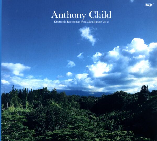 Anthony Child – Electronic Recordings From Maui Jungle Vol. 2-LP Vinyl