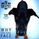 Big Country-Why The Long Face RSD 2024-LP Vinyl