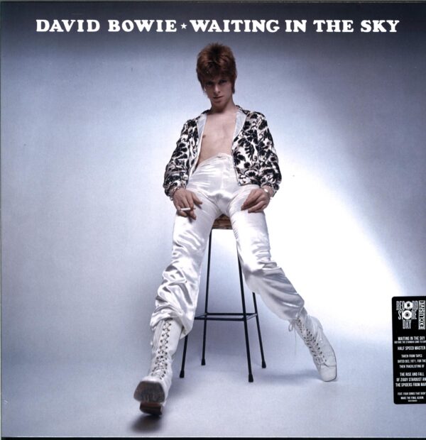 David Bowie - Waiting In The Sky - RSD 2024 LP Vinyl