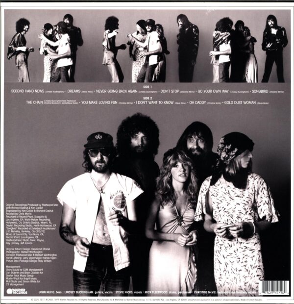 Fleetwood Mac-Rumours-LP Vinyl - RSD 2024 picture disc vinyl