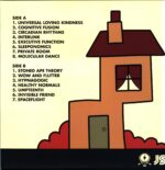 Jazz Spastiks-Intomental-LP Vinyl