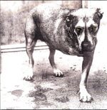 Alice In Chains-Alice In Chains-LP Vinyl