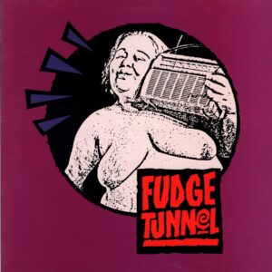 Fudge Tunnel-Fudgecake-LP Vinyl