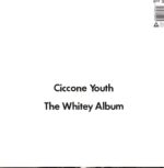 Sonic Youth As Ciccone Youth-The Whitey Album-LP Vinyl