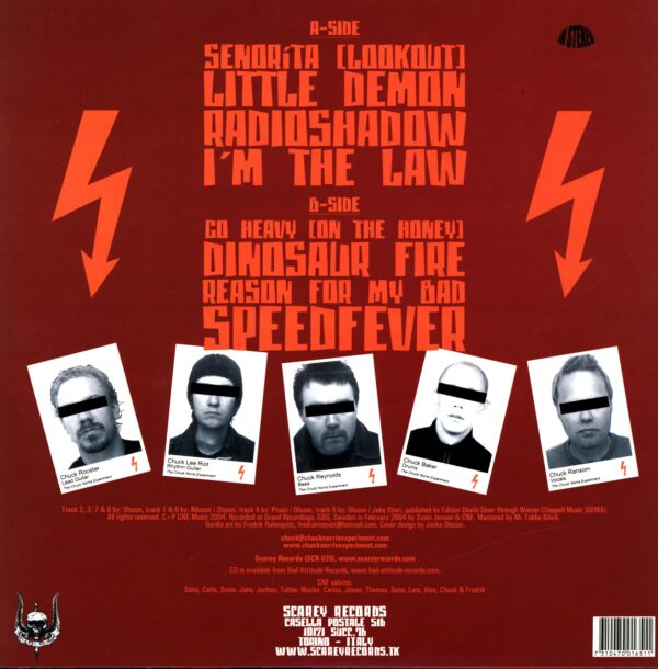 The Chuck Norris Experiment-The Chuck Norris Experiment-LP Vinyl