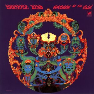 The Grateful Dead-Anthem Of The Sun Reissue 2011-LP Vinyl