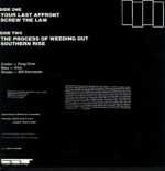 Black Flag-The Process Of Weeding Out-12 Vinyl