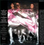 Dee D. Jackson-Cosmic Curves-LP Vinyl