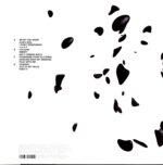 Northern Lite-Unisex-12 Vinyl