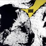 Pond-Glass Sparkles In Their Hair - Sundial-7 Vinyl yellow